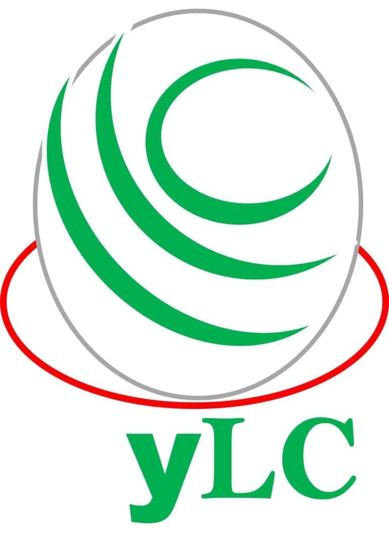 YLGROUPCONSULTING